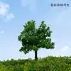 Sistema verde Árvore de bola ambiente árvore modelo árvore de arame modelo de árvore de arame mesa de areia modelo de planejamento árvore pequena paisagem simulação planta