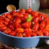 Colas de Langosta Sin Hielo, Frescas Congeladas Premium de Tamaño Grande de Primera Calidad Caja Completa Bolas y Colas de Camarón Frescas Congeladas para Venta al por Mayor Comercial