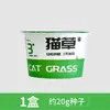 Planta em Vaso com Grama para Gatos Instantânea, Sementes em Copo de Grama para Gatos Fácil de Cultivar, Removedor de Bolas de Pelo com Erva-de-Gato, Petisco de Grama para Gatos, Tigela de Macarrão Instantâneo com Grama para Gatos