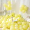 Confissão de Layout de Cena de Balão Colorido de 10 polegadas para Decoração de Quarto de Casamento, Celebração de Abertura de Loja, Parede de Balão Macaron