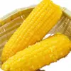 10 Piezas de Maíz Amarillo Glutinoso del Noreste, Empacado al Vacío, Maíz Glutinoso Dulce Fresco, Suave y Pegajoso, Sin OGM, Mazorcas de Maíz Pegajosas