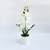 Olla alta redonda de estilo nórdico con 8 orquídeas Phalaenopsis artificiales, adecuada para decoración de restaurantes y cafeterías, adorno de bonsái pequeño de flor artificial