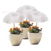 Sombrilla Popular Transfronteriza para Plantas de Amazon, Flor en Maceta, Sombrilla de Protección Solar, Aislada, Sombrilla de Protección para Plantas de Exterior en el Suelo