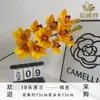 Flores de Orquídea Phalaenopsis Artificiales Modelo Nuevo Eva para Decoración de Sala de Estar en Casa, Decoración Floral de Fondo de Hotel al por Mayor