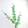 Eucalipto Impresso em 3D Estilo Luxo Acessível Folha de Dinheiro Flor para Casa Ornamentos Internos Decoração de Mesa para Sala de Estar Flor Artificial Atacado