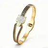 Suministro Exclusivo Transfronterizo de Pulseras Impermeables de Acero Inoxidable Electroplateadas al Vacío, Pulseras de Acero Titanio con Cabeza de Leopardo Ecológicas de Zirconia, Sin Decoloración