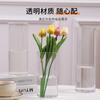 Florero Hidropónico de Plástico Transparente Botella Ecológica Decoración de Sala de Estar Dormitorio Arreglo Floral Plantas Cultivadas en Agua Maceta de Plástico