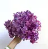 Flores de Hortensia Secas con Degradado Grande Hortensias Conservadas Cabezas de Flores Grandes Color Mixto Multicolor Hortensias Secas Decoración del Hogar Materiales Florales