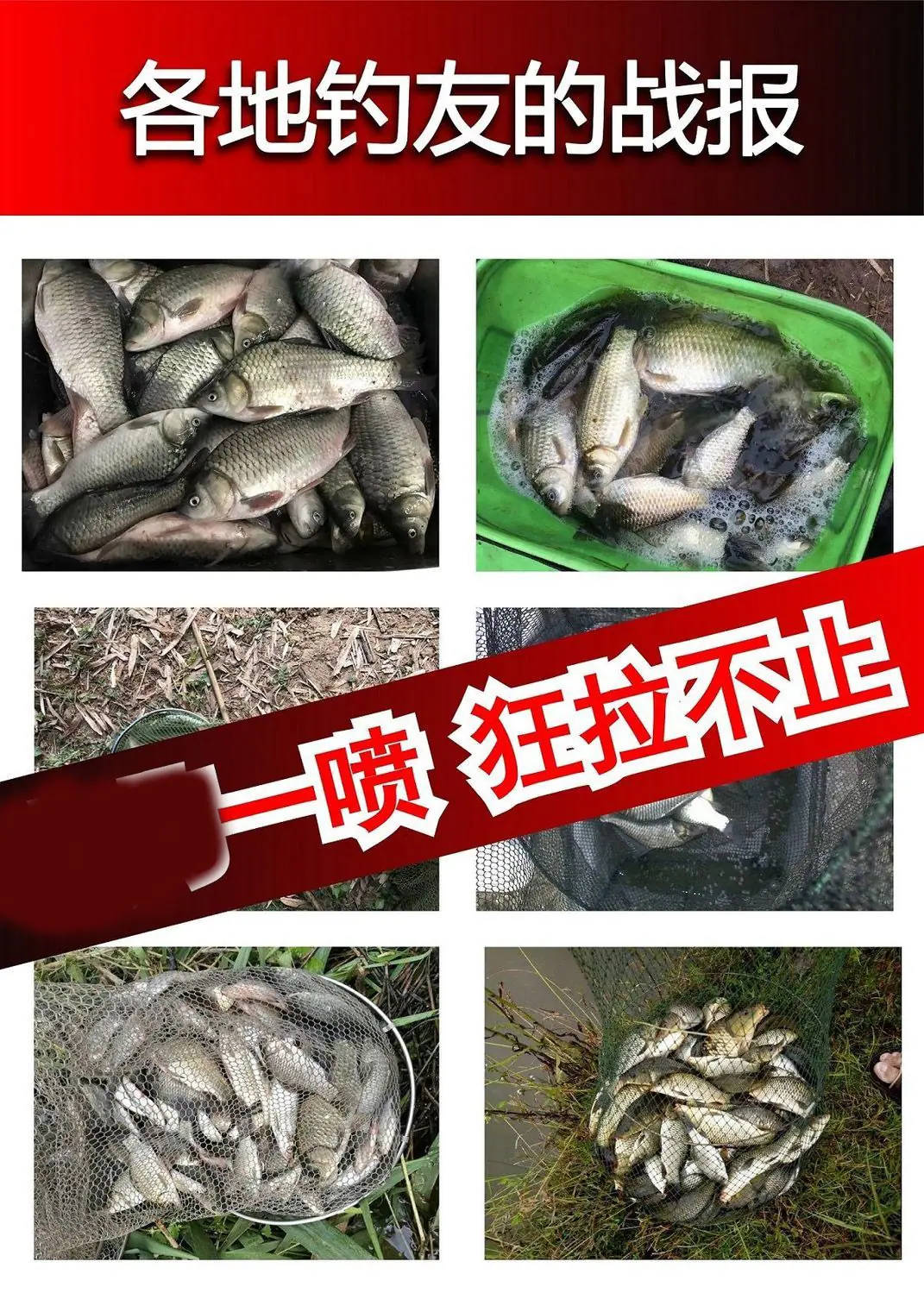 12.jpg?x-oss-process=image/format,png