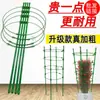 Estante de Vid de Escalada Retráctil de Múltiples Capas Soporte para Flores Varilla de Soporte para Plantas de Interior Pothos Clematis Soporte para Flores de Rosa