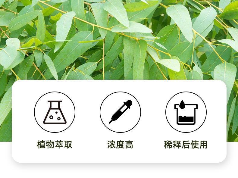 7桉叶精油_04.jpg