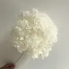 Flor Preservada Haste Única Hortênsia Anna Anna Folha Pequena Bella 40 Cores Personalizado Atacado Presente Dia dos Professores