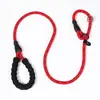 Cadena P para Perro Cuerda P para Perro Correa de Entrenamiento para Perro Pequeño, Mediano y Grande Golden Retriever Labrador Correa para Perro