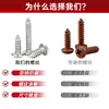 Tornillos Autorroscantes de Acero Inoxidable 304 de Cabeza Plana con Ranura de Cruz, Cabeza Redonda Biselada, Tornillos para Madera Biselados para Muebles M3M4M5M6