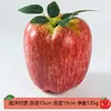 Venta al por mayor personalizada Fruta de Serpiente Manzana Realista Modelo de Fruta Grande con Peso Accesorios para Fotografía Decoraciones para Tiendas Materiales Didácticos para Educación Temprana