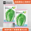 Sementes de Couve Chinesa Atacado de Fábrica, Vegetais Rápidos de Outono, Couve Baby, Sementes de Couve para Armazenamento de Inverno, Fênix de Fogo Gema de Ovo