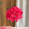 Simulación de Cabeza Única 81 Pétalos Ramo de Hortensias Hortensia de Simulación Tallo Único Arreglo Floral de Boda Transfronterizo Flor de Decoración de Ventana al por Mayor