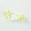 Cabezas de Flores Simuladas de Cinco Pétalos Materiales Hechos a Mano para Bricolaje Decoraciones Florales Coloridas Arreglo de Pared de Flores para Bodas Accesorios de Flores Artificiales Venta al por Mayor