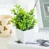 Flores Artificiales, Decoraciones Creativas de Mesa para el Hogar, Flores de Plástico, Césped Artificial, Plantas Verdes, Decoraciones de Interior, Mini Artículos Decorativos, Bonsái
