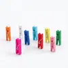 Pinzas de Madera de 2.5/3.5cm Pinzas Mini de Colores Variados Pinzas de Madera de Colores Mixtos