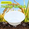 Cáscara de arroz para traje de diez piezas de vajilla banquete degradable banquete de bodas vajilla desechable traje combinado para banquete de bodas tazón de picnic