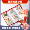 Código Civil Manual de Publicidade Folha de Publicidade Dobra Página Única Página Colorida Brochura Livro Ilustrado Origami Escritório de Advocacia Popularização Jurídica
