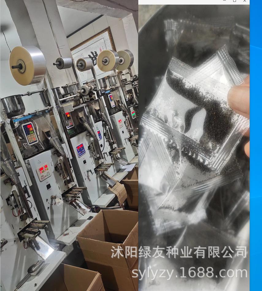 批发小包装种子
