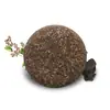 Comércio Exterior Transfronteiriço Shampoo Sabonete de Polygonum Multiflorum Sem Óleo de Silicone Alecrim Sabonete Artesanal Lavanda Menta Gengibre Sabonete para Cuidados com o Cabelo