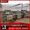 Máquina Automática Completa para Sembrar Bandejas de Plántulas, Máquina Eléctrica para Sembrar Flores y Vegetación, Máquina para Sembrar y Cubrir Tierra en Bandejas Flotantes