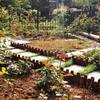 Cerca de madeira anticorrosiva cerca de jardim pátio externo canteiro de flores cerca pequena estaca de madeira decorativa externa cerca cerca