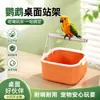 Nuevo soporte de punto fijo para defecación de loros con cubo de basura para cacatúa y periquito, poste interactivo de posado de escritorio para entrenamiento de defecación