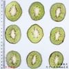 Especímenes de Fruta de Kiwi al por Mayor Hechos a Mano DIY Rodajas en Relieve Pegamento en Relieve Funda para Teléfono Móvil Marco de Fotos para Velas Materiales para Pintura