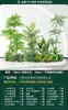 Set de Paisajismo Simulado para Exhibidores de Ventanas Interiores, Decoración de Escaleras, Paisaje de Plantas Verdes Simuladas, Arreglo de Jardín, Adornos de Decoración de Plantas en Maceta