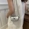 Bolso bandolera estilo coreano, bolso bandolera, bolso bandolera, bolso pequeño informal para mujer, bolso bandolera de moda para desplazamientos diarios 2024.