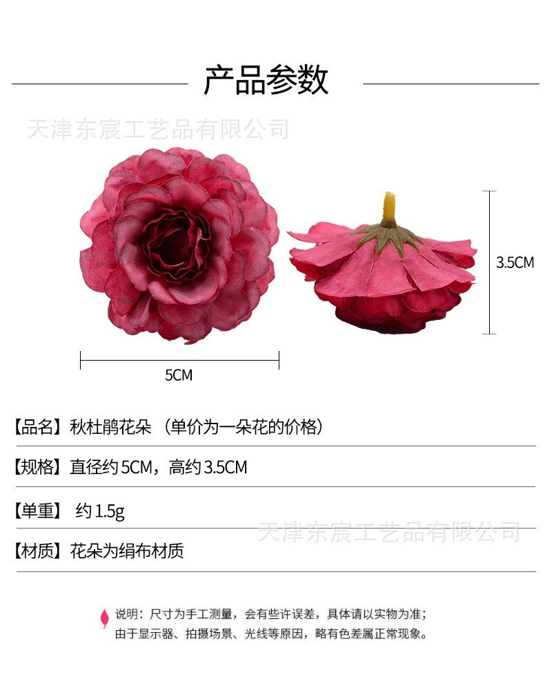 详情_01.jpg