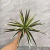 Planta Artificial Verde Estilo Nórdico Orquídea Pendurada para Decoração de Mesa de Sala de Estar, Planta Artificial de Orquídea para Paisagismo