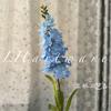 Delphinium Azul-Morado de Tallo Único Jacinto Decoración de Salón de Bodas Decoración Suave Arreglo Floral Pasillo Flores de Boda Venta al Por Mayor Transfronteriza