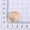 Carcasa de Color Sólido con Degradado Pegamento de Resina Crema Accesorios DIY Pinzas para el Cabello Funda de Teléfono Amuletos para Zapatos Materiales Hechos a Mano
