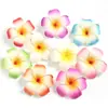 Pasador de Pelo Tocado de Flor de Plumeria Simulada, En Stock Transfronterizo 9cm Decoración de Viaje Vacacional en Playa Marina Accesorio de Pelo Étnico Dai Flor