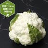 Modelo de verduras y frutas falsas biónicas, diseño de escena, adornos de cocina, accesorios de fotografía, decoración pastoral suave, verduras de simulación