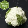 Modelos de Frutas y Verduras de Imitación para Montaje de Escenas, Decoraciones de Cocina, Accesorios de Fotografía y Decoración Suave Pastoral