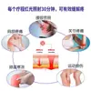 Fisioterapia LED Panel de Luz FPC Diseño Panel de Luz Chal de Fisioterapia Diseño de Panel de Luz Luz Roja Luz Infrarroja Fisioterapia Panel de Luz Suave Desarrollo