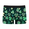 Roupa Íntima Masculina Série São Patrício Europeia e Americana Transfronteiriça Boxer Brief Casual Masculino com Estampa Digital 3D