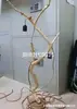 Galhos Secos, Galhos de Árvore Descascados, Arranjos de Flores, Troncos, Arte, Galhos Secos, Galhos Mortos com Galhos, Troncos de Árvore, Galhos de Árvore Criativos, Decoração de Teto