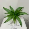 Planta Táctil Real Hoja de Calathea Caparazón de Tortuga Hotel Restaurante Exhibición Paisaje de Palmera Decoración de Pared Verde