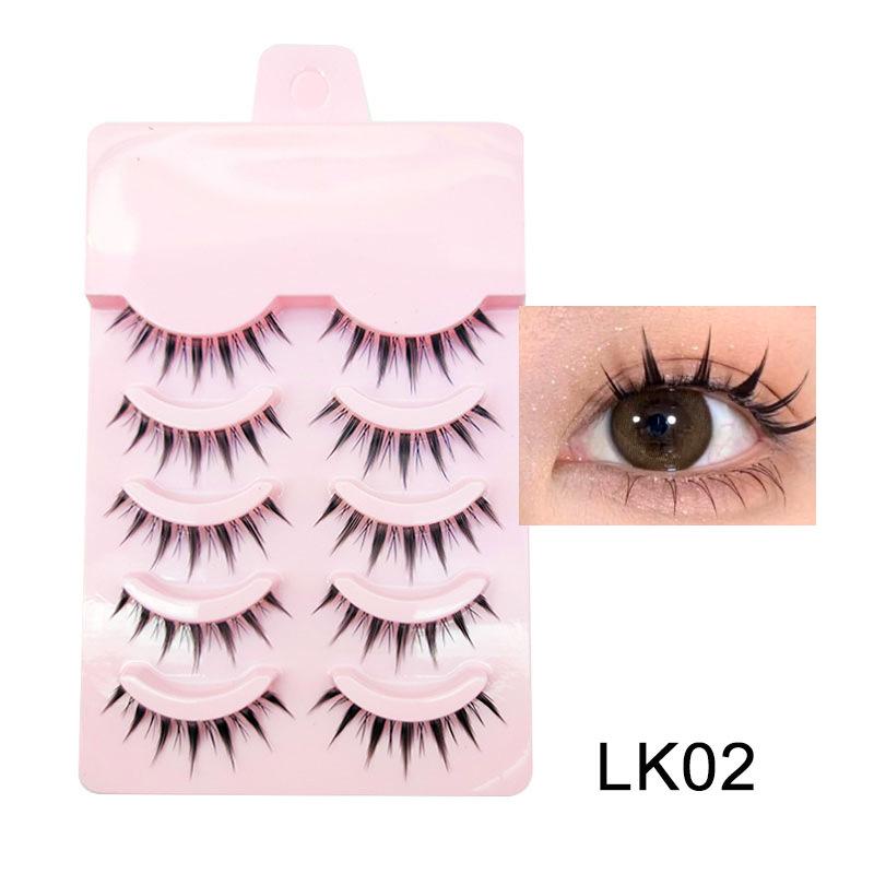LK02 (1) (1)