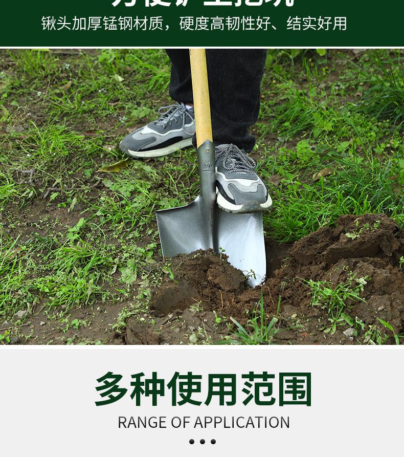 详情_07.jpg