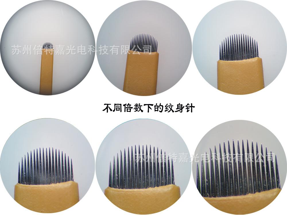 纹身针显微镜图片.jpg