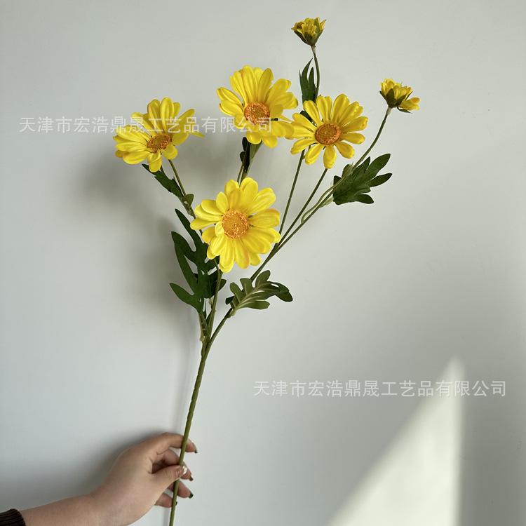 微信图片_2023031516412910_副本