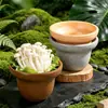 Bandeja de Hielo Seco Comercial Imitación Porcelana de Melamina, Bandeja para Albóndigas, Bol para Verduras, Bol para Fideos, Olla Caliente, Barbacoa, Específico para Restaurantes